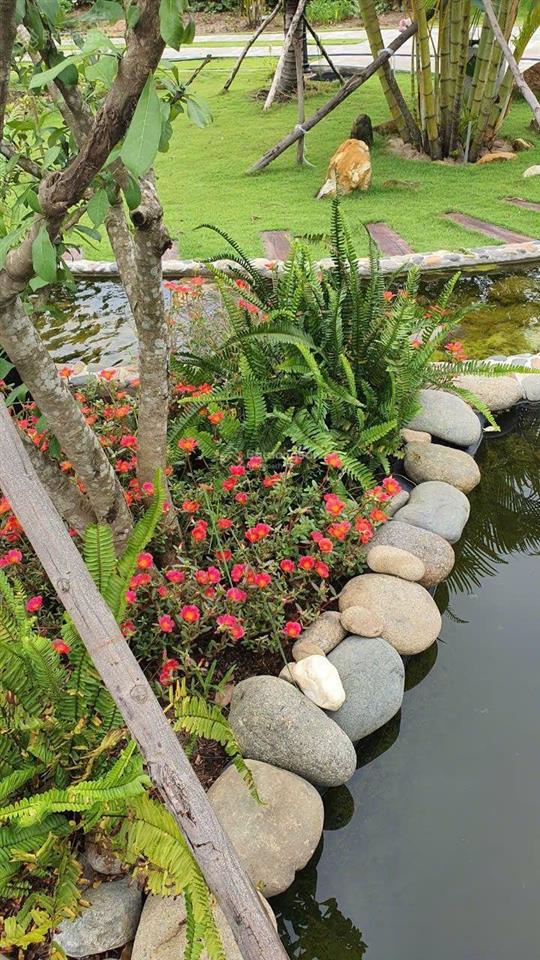 Đất nghĩ dưỡng đường số 5 long phước, gần vinhomes q9. đối diện aquasyty đảo phượng hoàng. 17tr/m