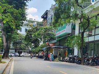 Bán đất mặt phố đường bưởi, ba đình 112m2, mặt tiền 6m, vỉa hè, kinh doanh, phù hợp xây tòa nhà vp