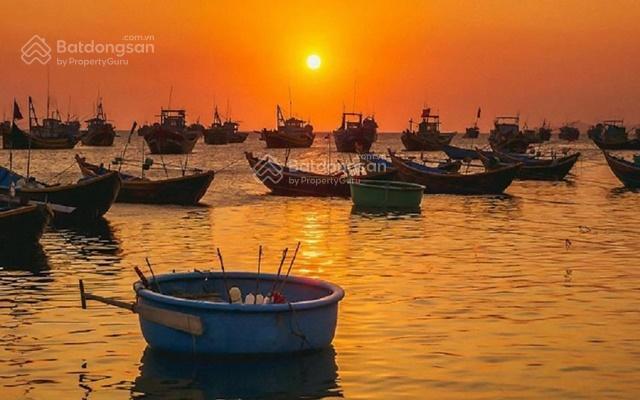 Biệt thự biển haus coastal quảng ngãi view đẹp giá tốt