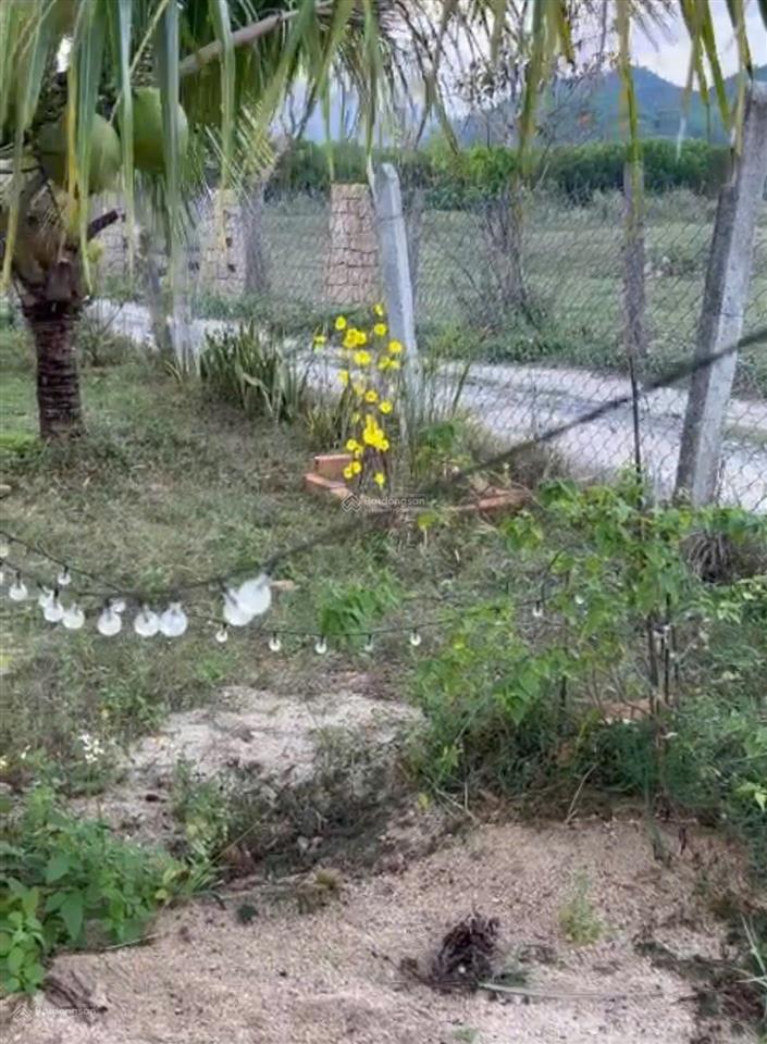 Cần bán lô đất thôn suối thơm, xã bắc khánh vĩnh (khánh đông cũ), dt 1.052 m2