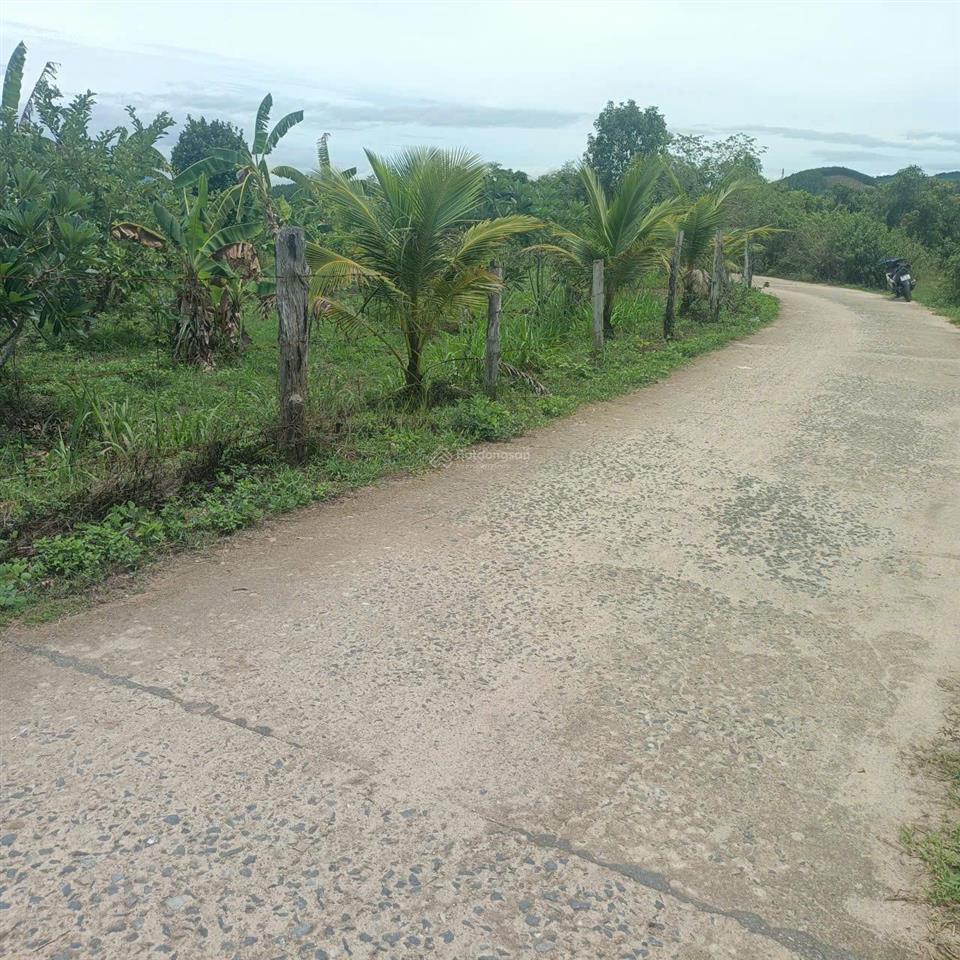 Bán lô đất dt 500m2, tại xã diên lâm, diên khánh, khánh hòa