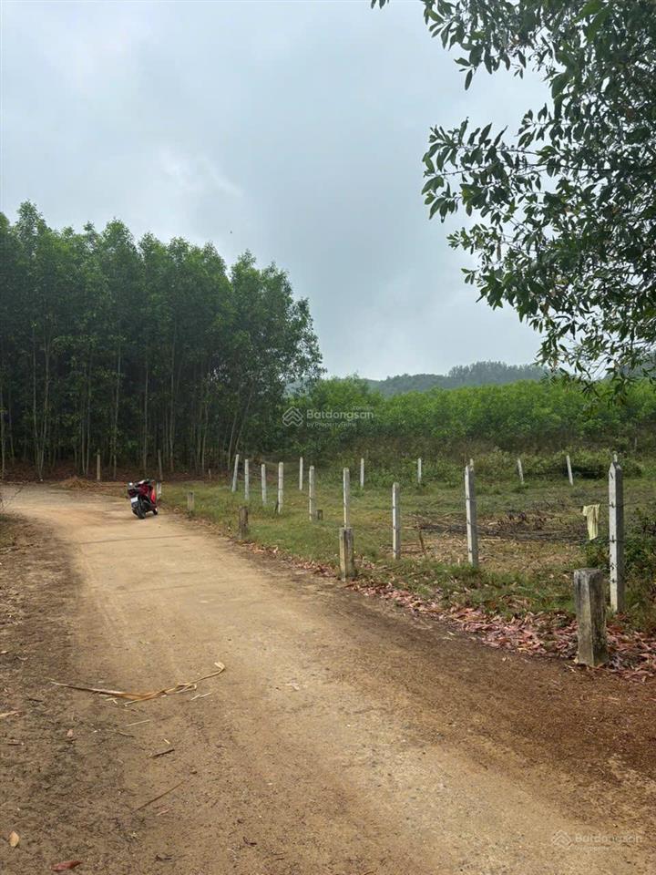 Bán lô đất diện tích 1.212 m2, tại xã diên đồng, diên khánh, khánh hòa