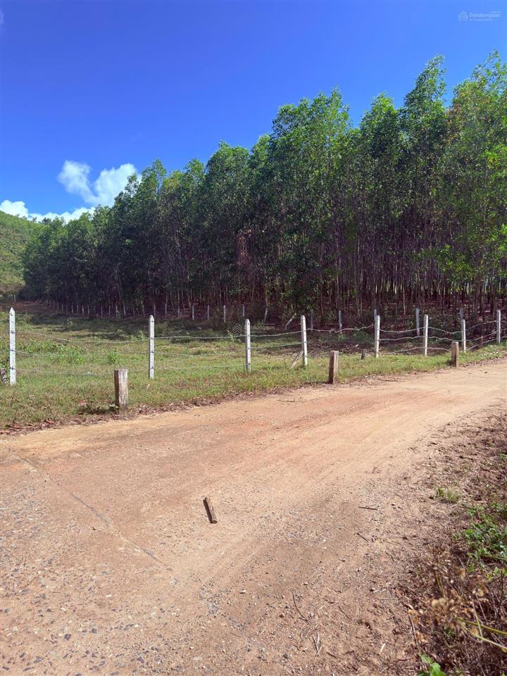 Bán lô đất diện tích 1.212 m2, tại xã diên đồng, diên khánh, khánh hòa