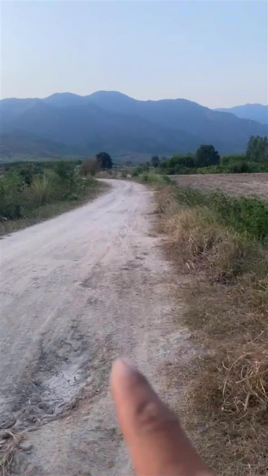 Cần bán lô đất thôn buôn lác, xã ninh tây, dt 2.069 m2