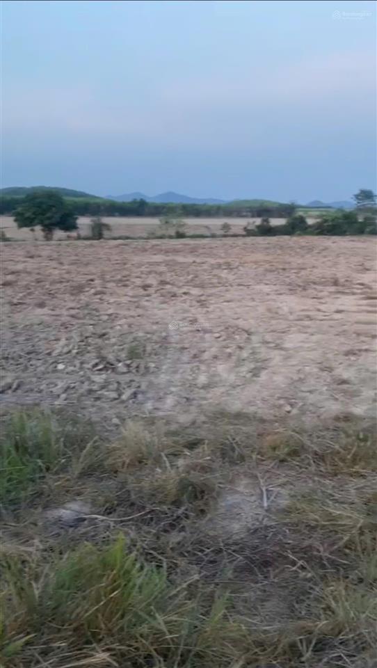 Cần bán lô đất thôn buôn lác, xã ninh tây, dt 2.069 m2