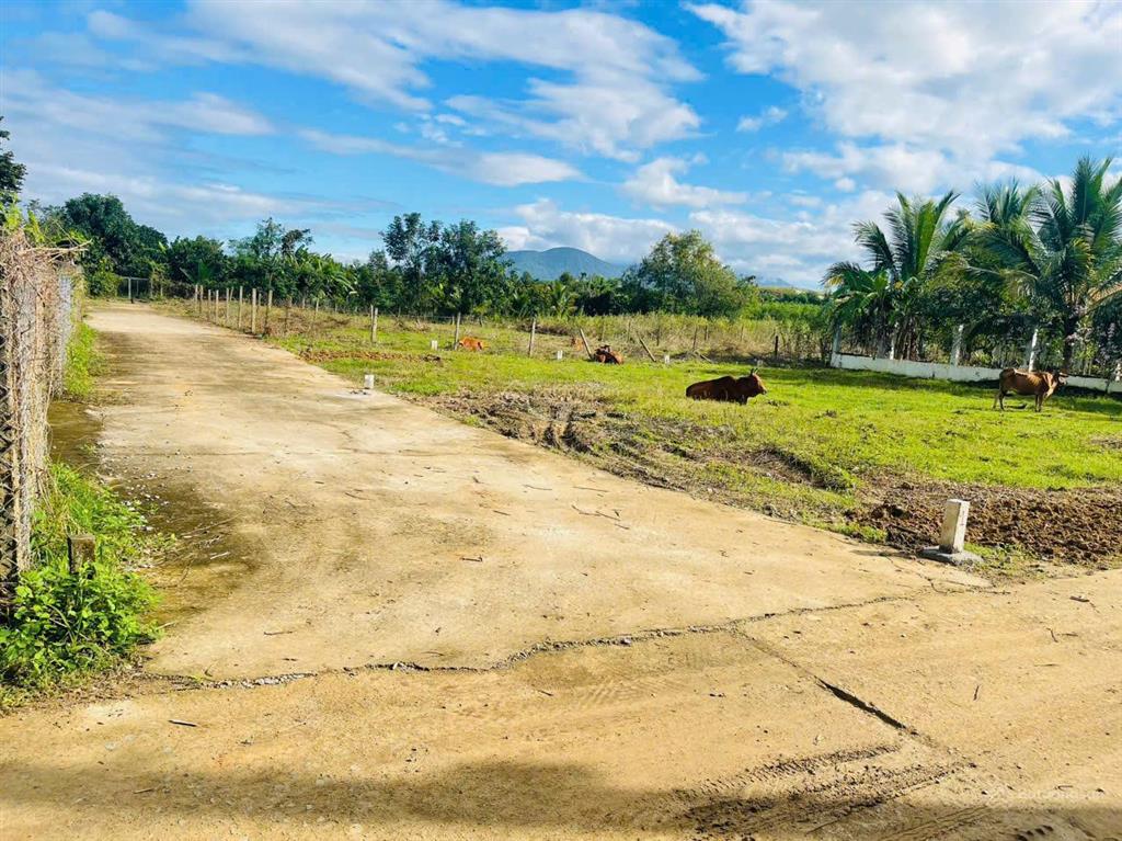 Bán lô mặt tiền đường bê tông gần ql27 xã sông cầu, khánh vĩnh, dt 545 m2
