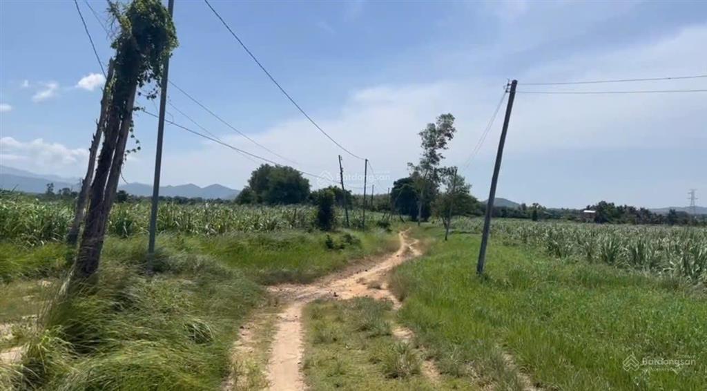 Cần bán lô đất ont thôn xóm mới, xã tây ninh hòa, dt 2.811 m2
