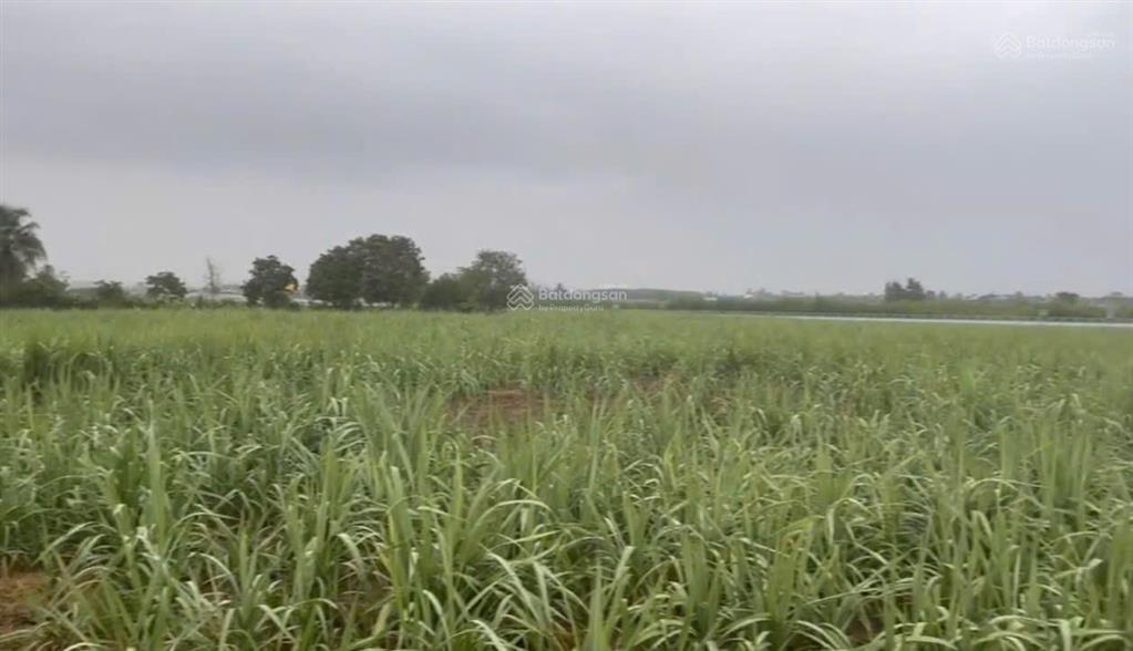 Bán lô đất thôn xóm mới, xã tây ninh hòa, dt 10.658 m2