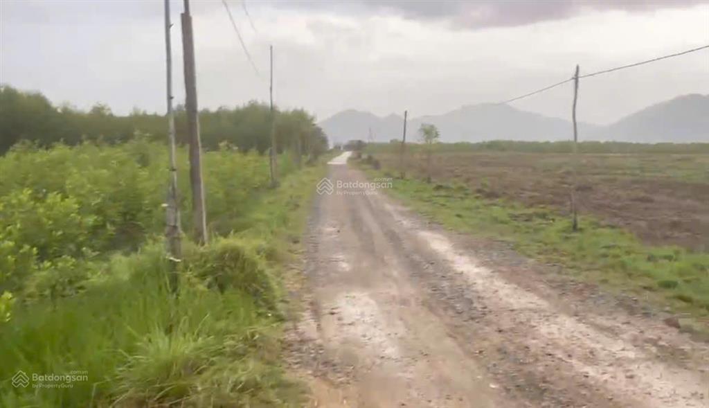 Bán lô đất thôn xóm mới, xã tây ninh hòa, dt 10.658 m2