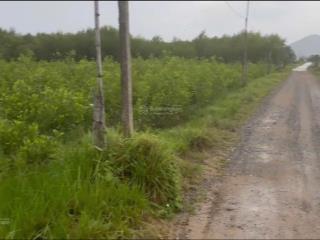 Bán lô đất thôn xóm mới, xã tây ninh hòa, dt 10.658 m2