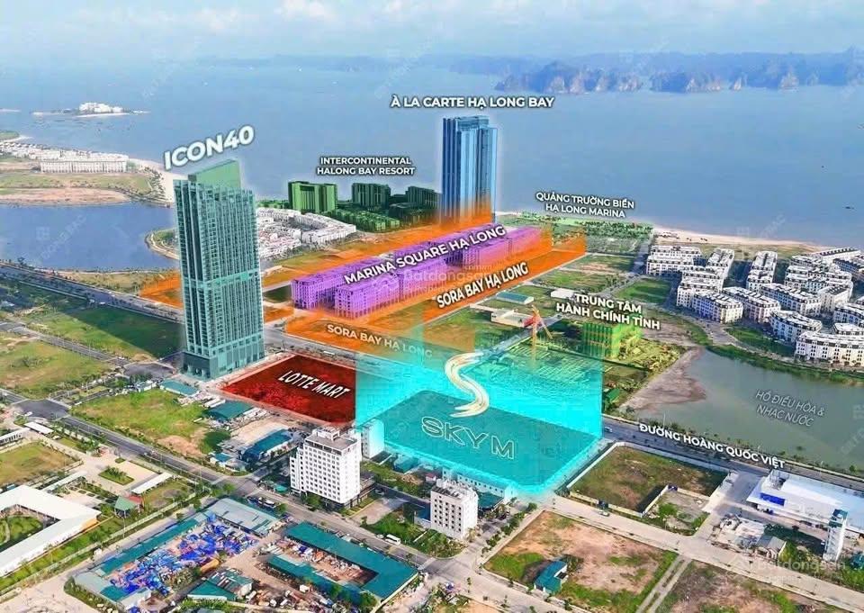 Sốc tổng chiết khấu hơn 500 triệu  căn hộ view vịnh chỉ còn 1,8 tỷ, giới hạn 50 căn đầu tiên