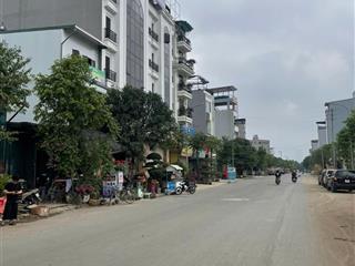 Bán nhanh lô đất 85m2 mặt đường to 24m vỉa hè 5m kinh doanh siêu đẹp tại khu đất dịch vụ 25,2ha