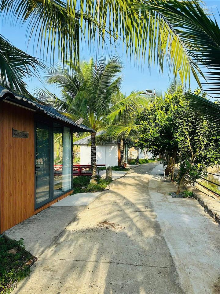 Siêu phẩm 399tr với lô đất view lúa sông f0 duy nhất tại brvt nằm trong tổ hợp homestay lúa farm