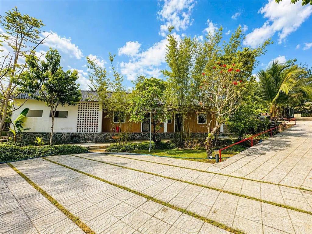 Siêu phẩm 399tr với lô đất view lúa sông f0 duy nhất tại brvt nằm trong tổ hợp homestay lúa farm