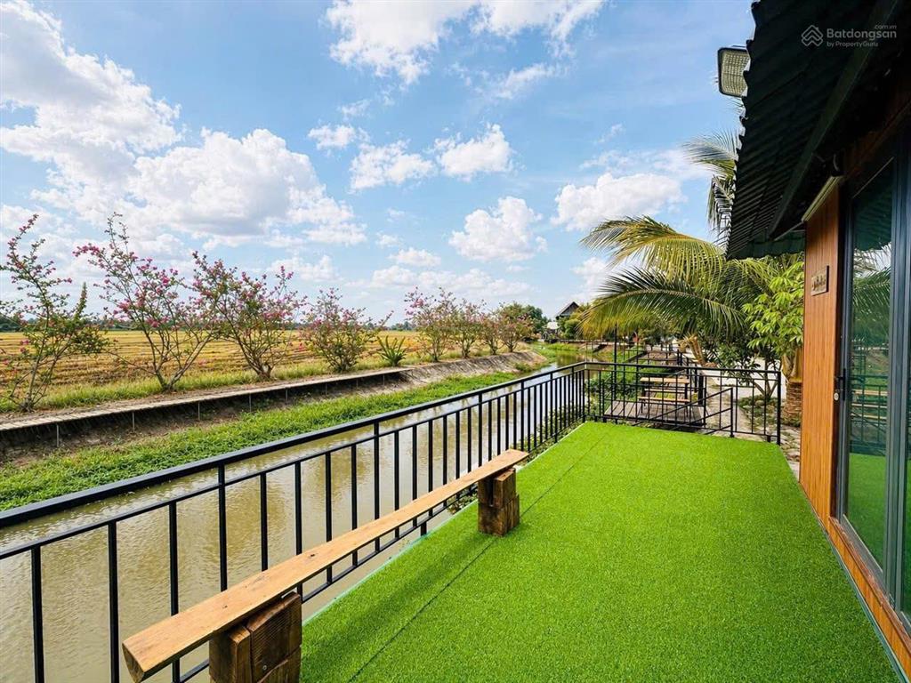 Siêu phẩm 399tr với lô đất view lúa sông f0 duy nhất tại brvt nằm trong tổ hợp homestay lúa farm