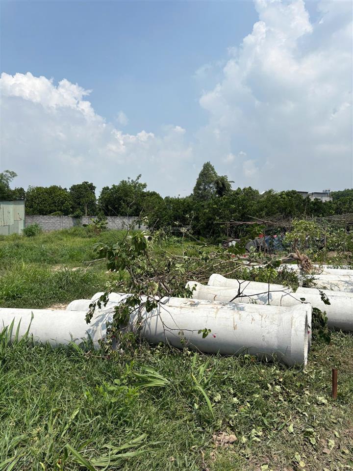 Bán đất tại cây quéo, vĩnh cửu, 1,18 tỷ, 78,8 m2