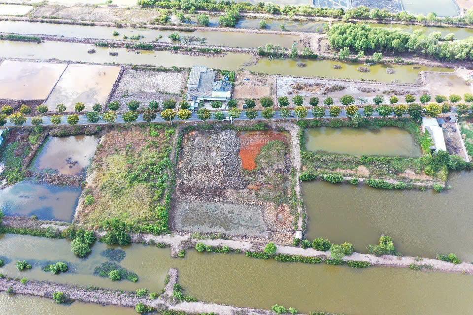 Đất mặt tiền dt913 trường long hòa, vĩnh long 3,5 triệu/m²