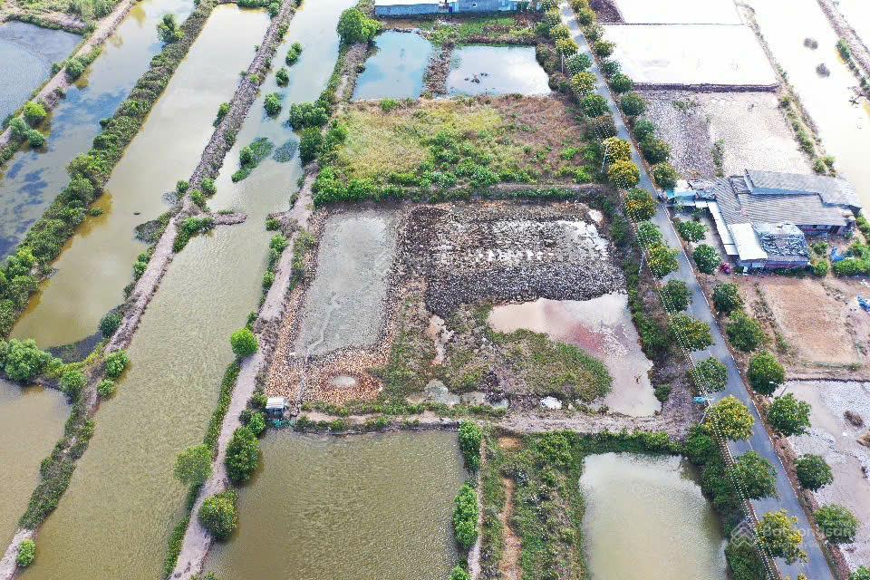 Đất mặt tiền dt913 trường long hòa, vĩnh long 3,5 triệu/m²