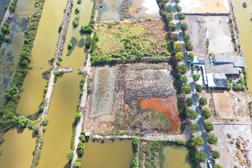 Đất mặt tiền dt913 trường long hòa, vĩnh long 3,5 triệu/m²