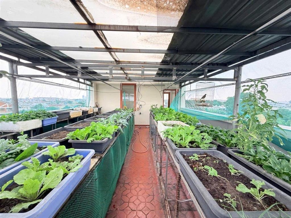Siêu phẩm 2 mặt tiền, nguyễn tri phương  dĩ an, vị trí vip, kinh doanh đỉnh cao