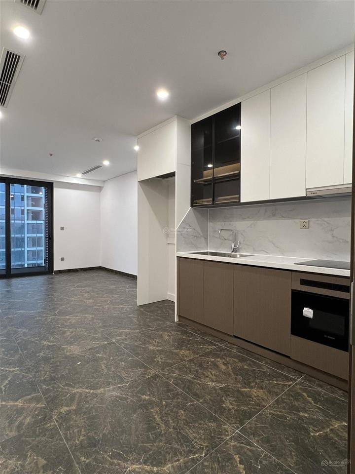Cho thuê căn hộ 1pn 1wc  full đồ tại tháp đôi kepler land, 12,5 triệu, 45,5m2