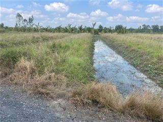 Bán đất 1.3ha mặt tiền t9 hưng long giá 2.1tr/m2