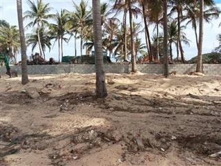 Đất biển có thổ cư vị trí tuyệt đẹp phù hợp xây homestay ở sông cầu  phú yên