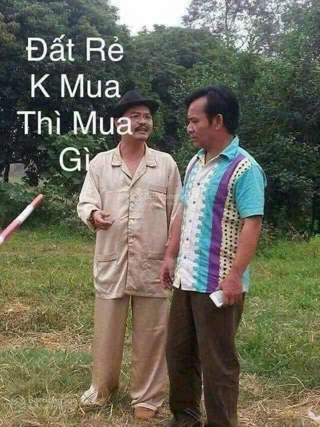 Chủ cần tiền bán nhanh lô đất 42m giá rẻ nhất khu vực