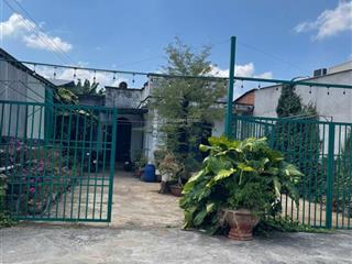 Bán siêu phẩm nhà và đất mặt tiền đường nhựa đẹp phù hợp cho mọi gia đình