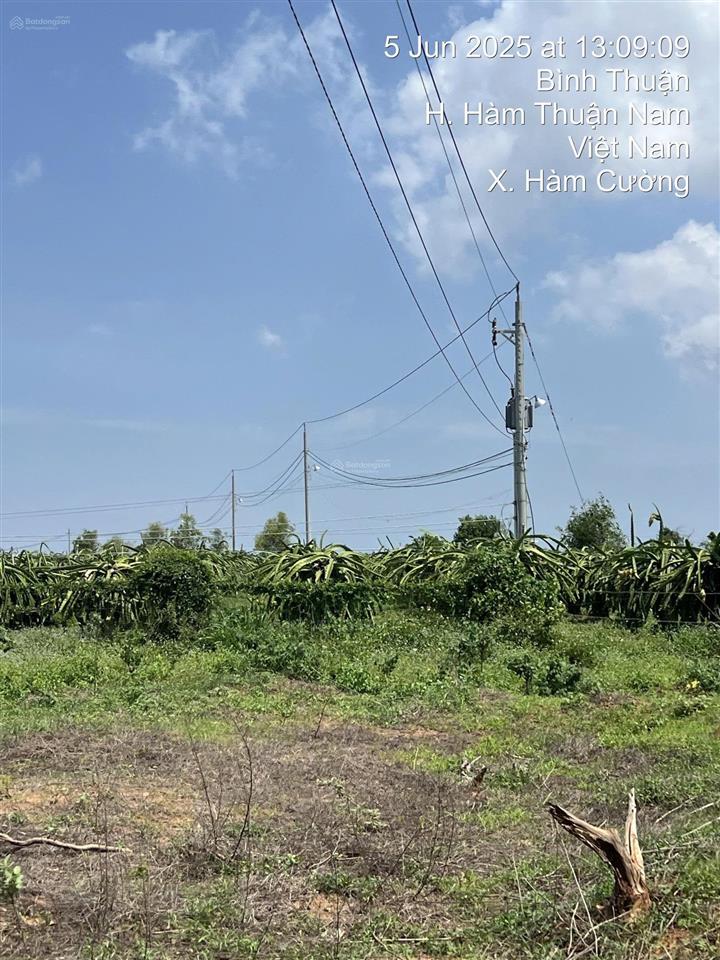 CHÍNH CHỦ BÁN TRANG TRẠI – KHU NGHỈ DƯỠNG 10,3HA – GIÁ CHỈ 23,5 TỶ