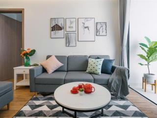 Cho thuê căn hộ cao cấp tại the golden armor (b6 giảng võ) 80m2, 2pn, full đồ, giá 18 triệu/tháng