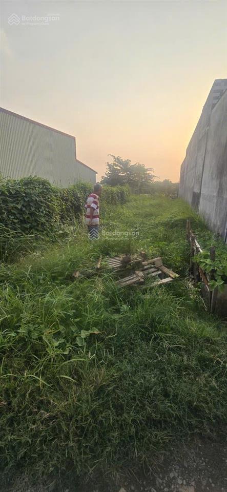 Chính chủ cần bán đất thổ cư tại xã mỹ yên, bến lức, long an