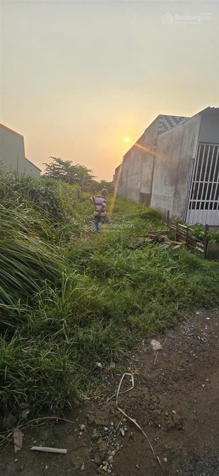Chính chủ cần bán đất thổ cư tại xã mỹ yên, bến lức, long an