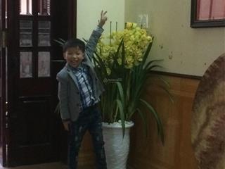 Cho thuê căn hộ chung cư 72m2, gồm 2 phòng ngủ, 1 phòng khách + bếp, 01 vệ sinh