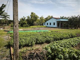 Bán đất tại ấp 2, dt 835, phước lợi, bến lức