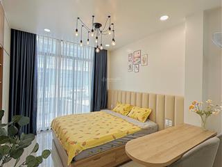 Căn hộ mini studio  đầy đủ nt ngay khu phạm viết chánh  chợ thị nghè thuận tiện đi bason q1