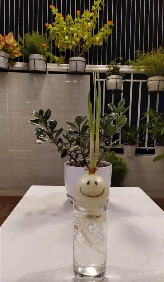 Cho thuê bình khánh 85m 3pn 2wc full nt nhà đẹp view đông nam mát lô cd an khánh q2 giá 14,5tr