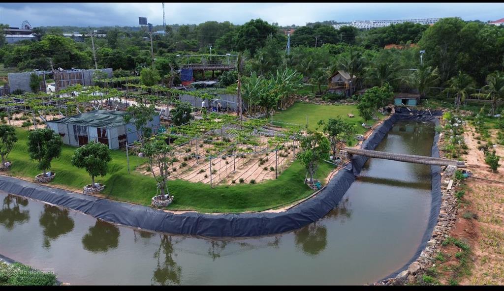 Giảm giá mạnh 9tr/m2 đất view biển khu phú hải resort