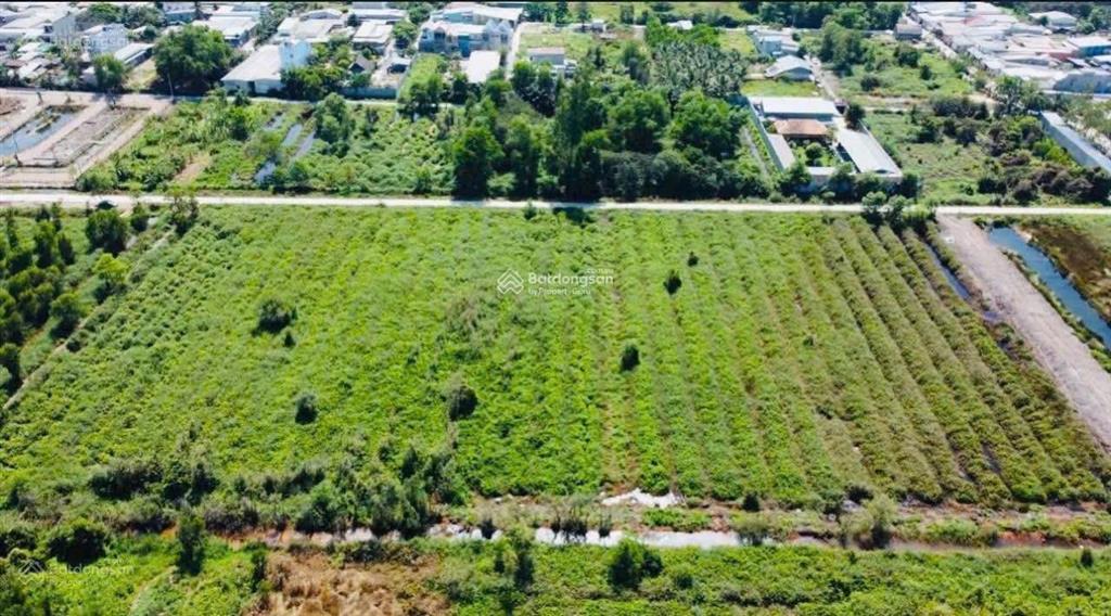Bán đất tại an hạ, phạm văn hai, bình chánh, giá tốt 14 triệu / m2, 1861.2 m2