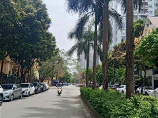 Vip nam từ liêm! lô đất đẹp hàm nghi huy du 107m2 mặt tiền rộng, 5m ra mặt phố kinh doanh tấp nập