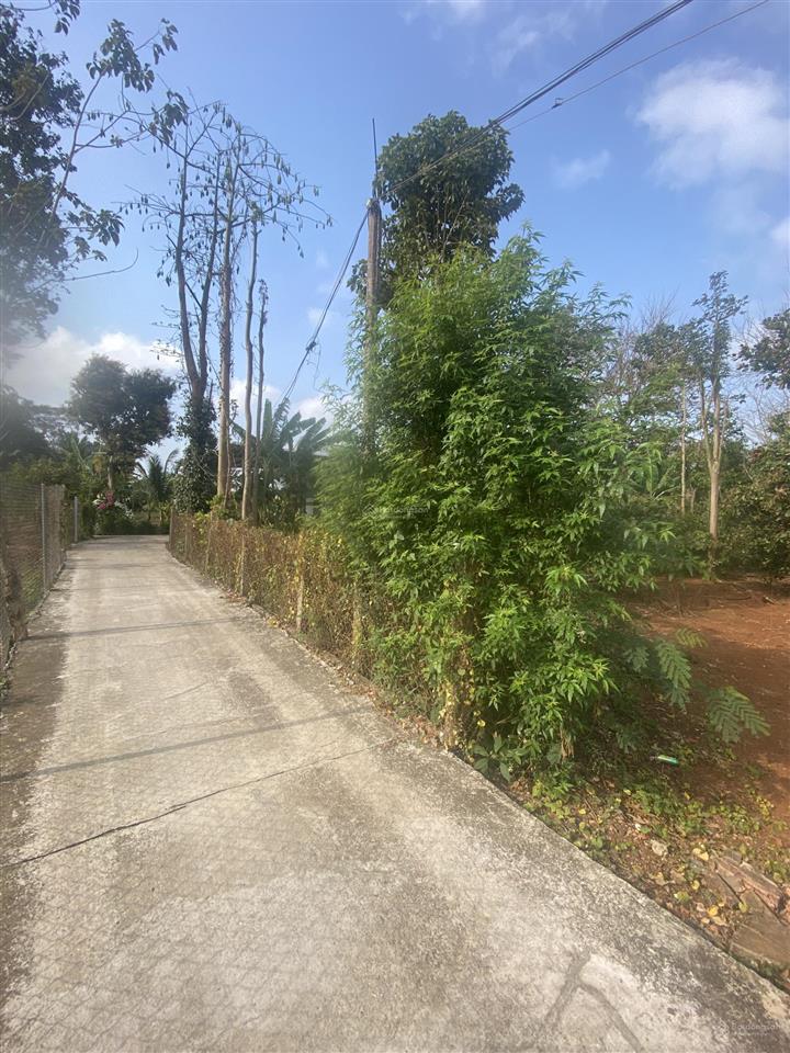 Đất full hồng đất khu dân cư có sân nhà