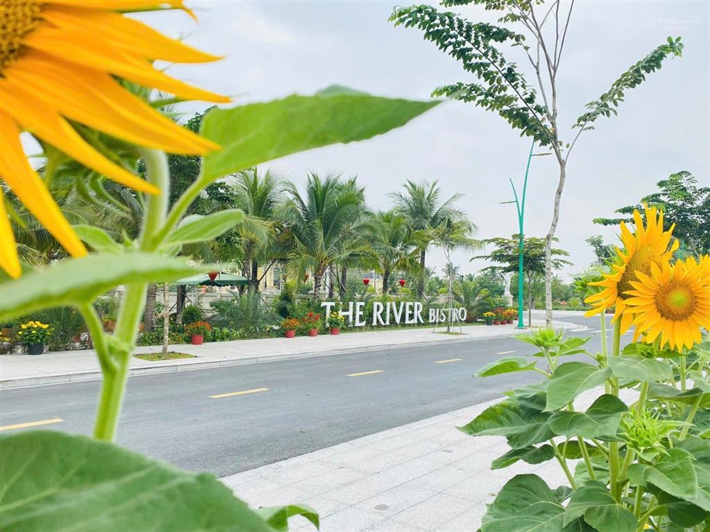 Đất nền trung tâm hành chính & thương mại thủ thừa long an , giá chỉ 18,3tr