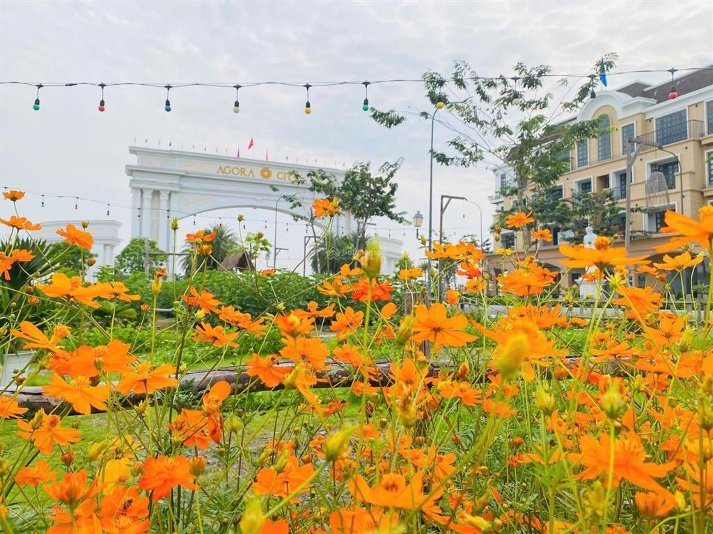 Đất nền trung tâm hành chính & thương mại thủ thừa long an , giá chỉ 18,3tr