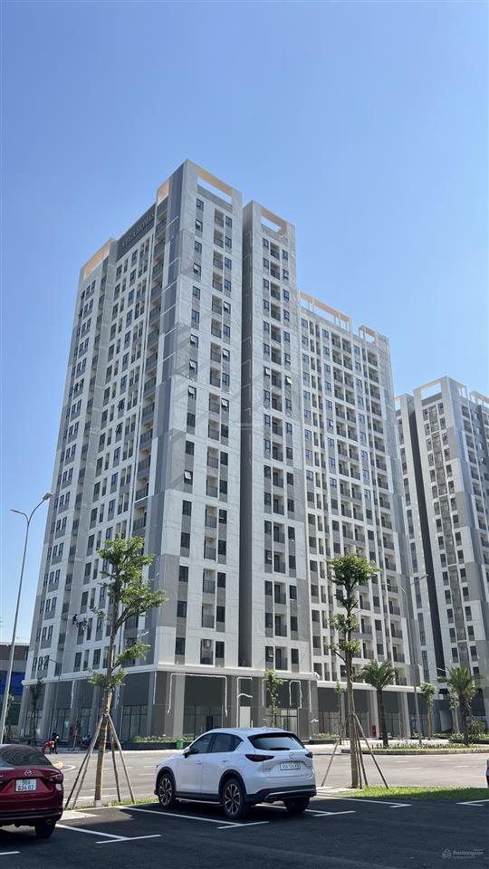Ct1 tòa thương mại vega homes  bắc ninh
em đang có quỹ căn studio | 1n+ | 2n | 2n+