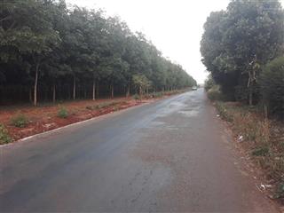 Bán đất nền dự án tại đt753, tân lợi, đồng phú giá siêu hời 730 triệu, 200m2