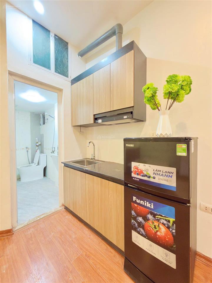 Cho thuê cc mini 1pn, 25m2, 4,8 triệu, tại lạc long quân, phường xuân la, quận tây hồ