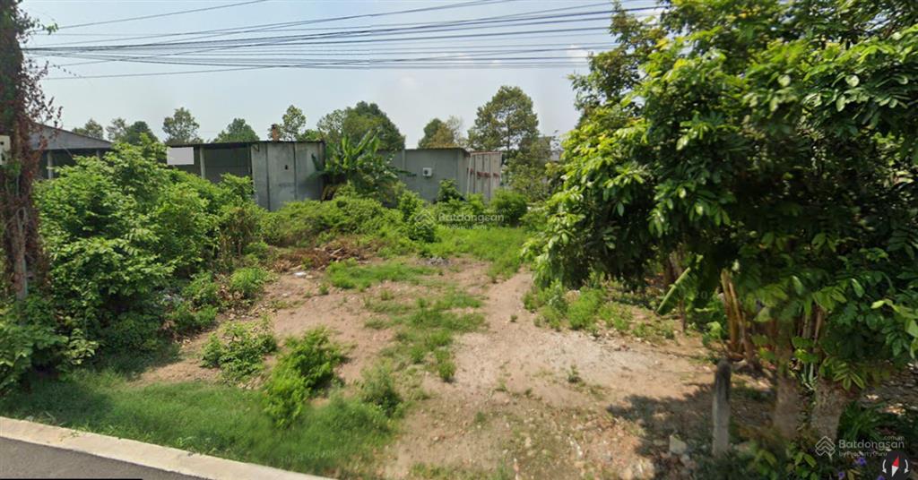 Đất bán, khu phân lô biệt thự công ty cao su dầu tiếng