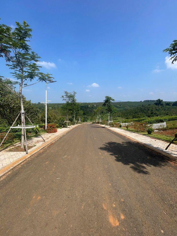 🌄 BÁN ĐẤT VÙNG VEN ĐÀ LẠT – DI LINH GIÁ TỐT, ĐẦU TƯ SINH LỜI 🌄