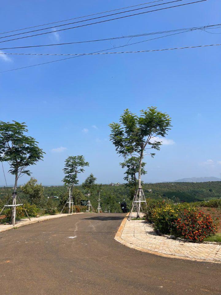 Đất đẹp ven Đà Lạt – giá mềm chỉ từ 2xx triệu