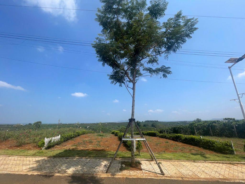 Đất đẹp ven Đà Lạt – giá mềm chỉ từ 2xx triệu